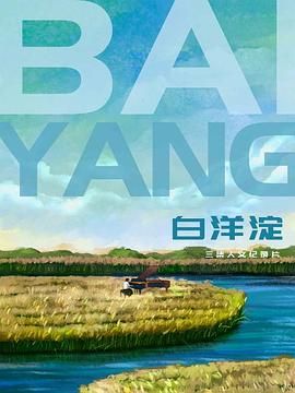 白洋淀封面