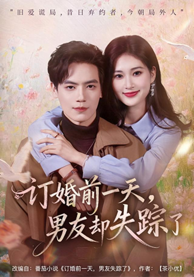 订婚前一天，男友却失踪了封面