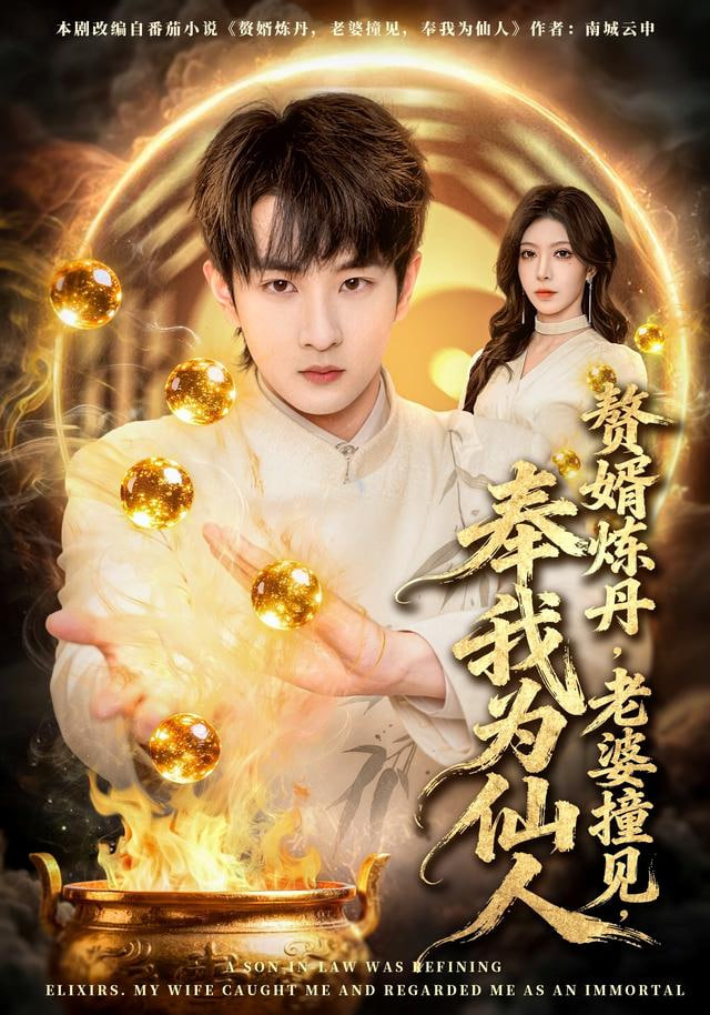 赘婿炼丹，老婆撞见，奉我为仙人封面