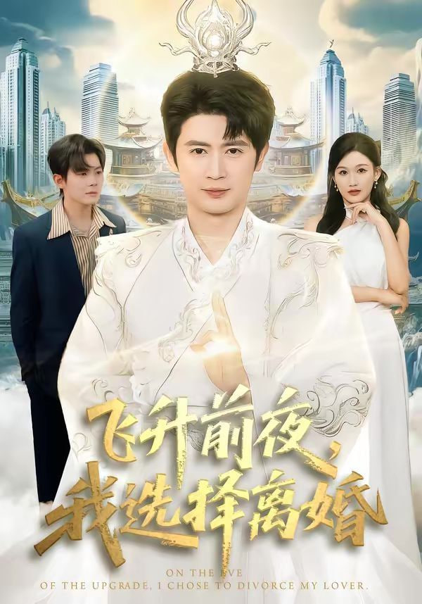 飞升前夜，我选择离婚封面