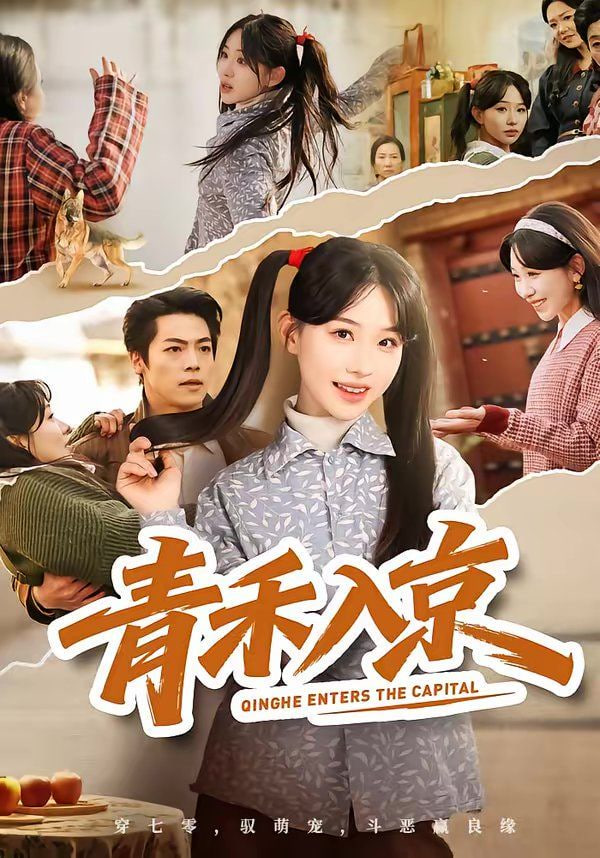 青禾入京封面