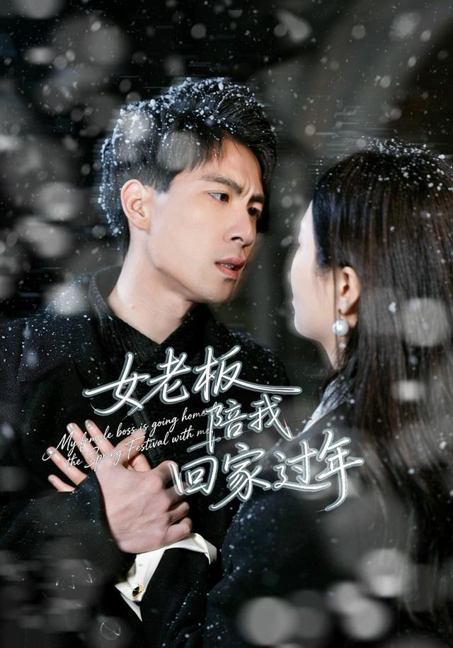 女老板陪我回家过年封面