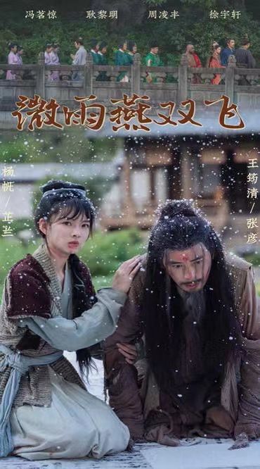 微雨燕双飞封面