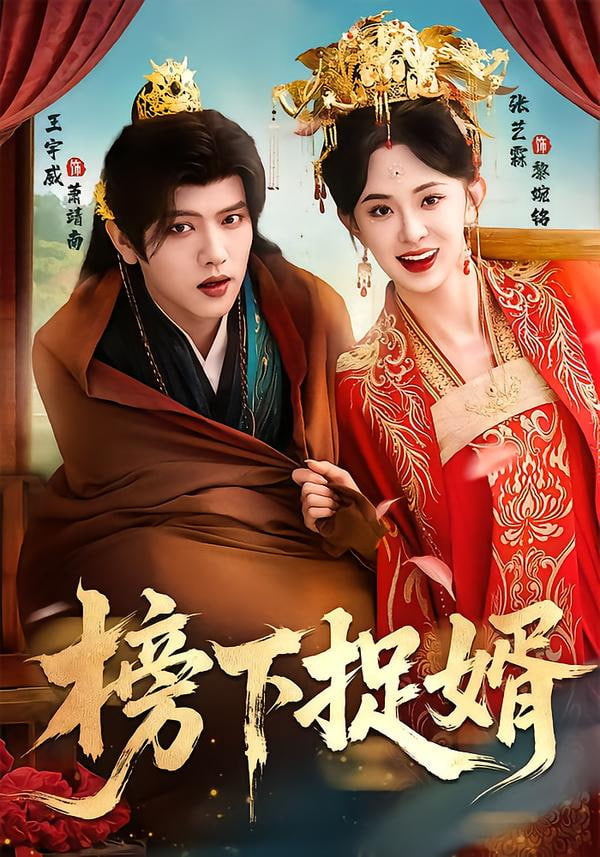 榜下捉婿封面