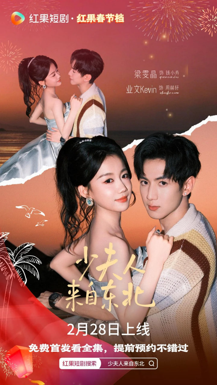 少夫人来自东北封面