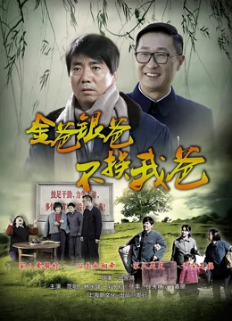金爸银爸不换我爸封面