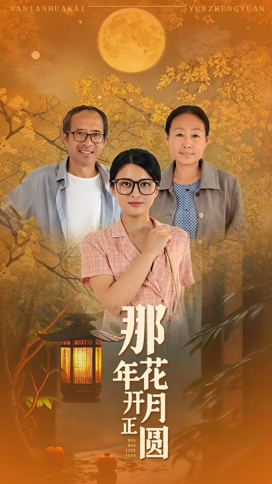 那年花开月正圆封面