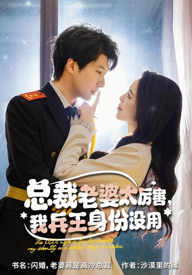 总裁老婆太厉害，我兵王身份没用封面