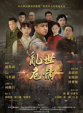 乱世危情封面