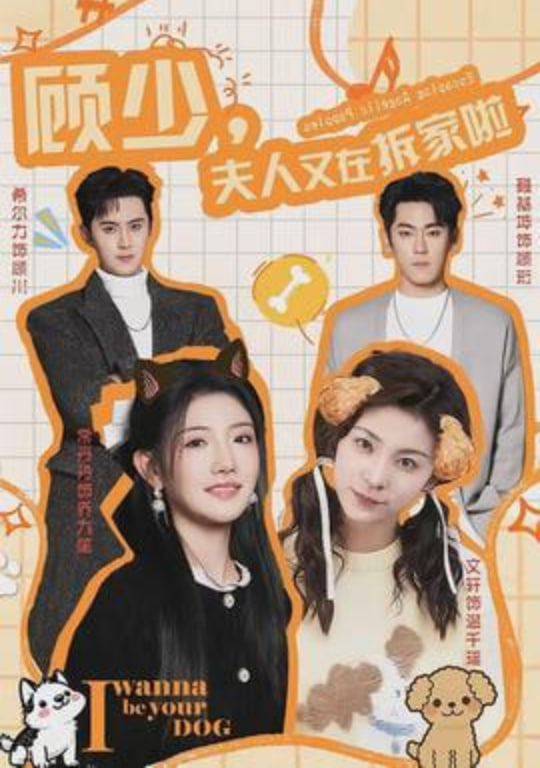 顾少，夫人又在拆家啦封面