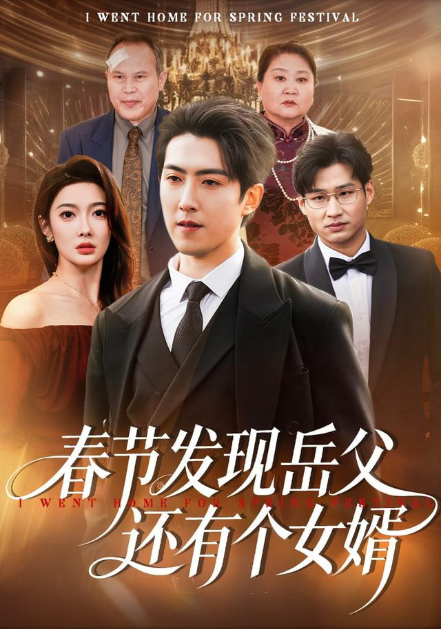 春节发现岳父还有个女婿封面