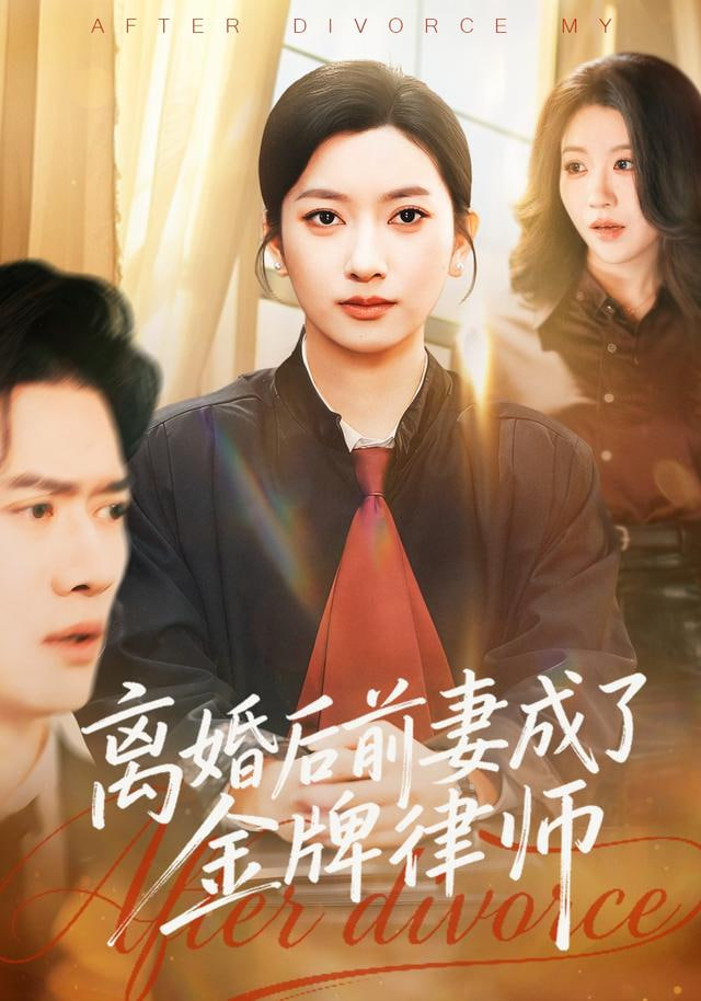 离婚后前妻成了金牌律师封面
