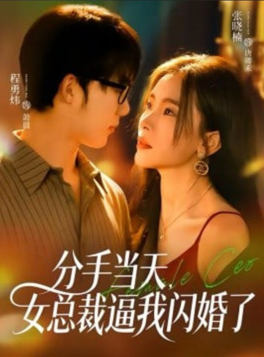 分手当天，女总裁逼我闪婚了封面