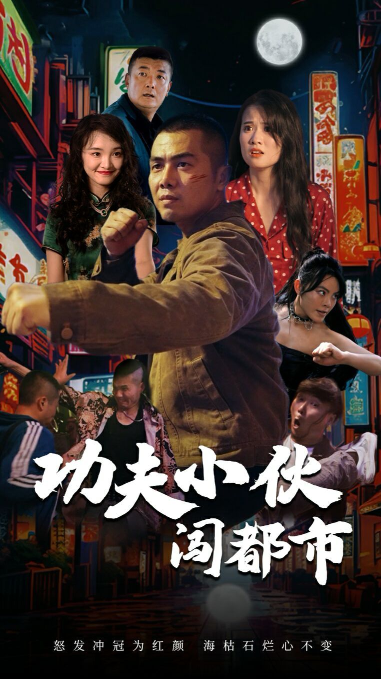 功夫小伙闯都市封面