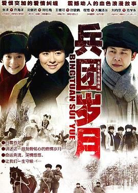 兵团岁月封面