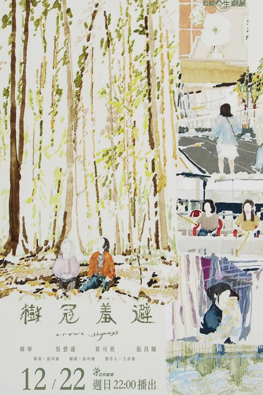 树冠羞避封面