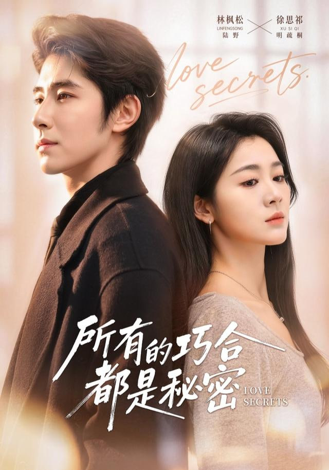 所有的巧合都是秘密（陆总夫人她只想离婚）封面