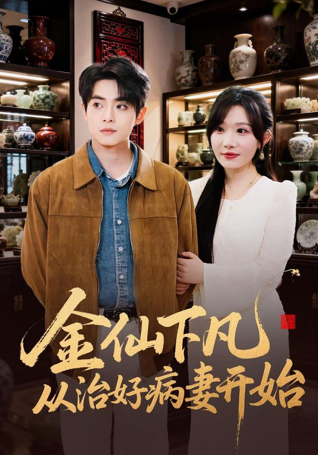 金仙下凡从治好病妻开始封面