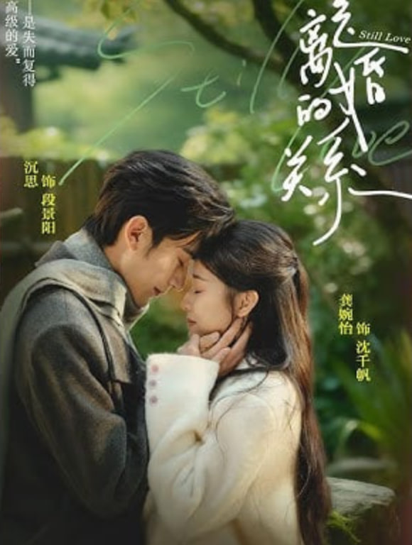 是离婚的关系封面