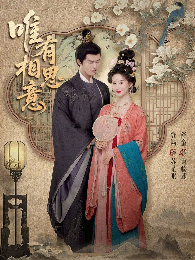唯有相思意封面