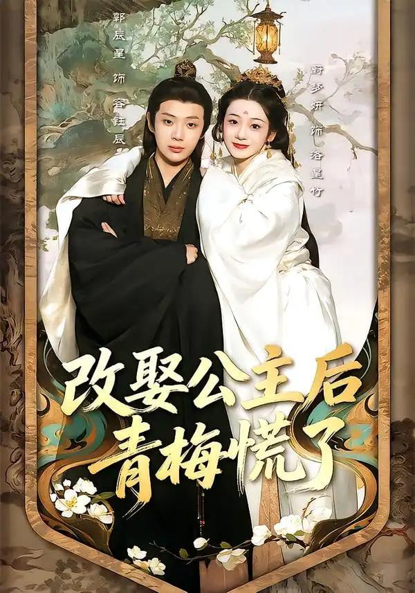 改娶公主后青梅慌了封面