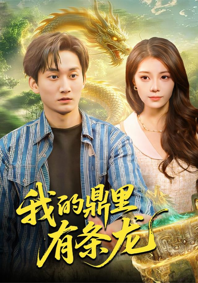 我的鼎里有条龙封面