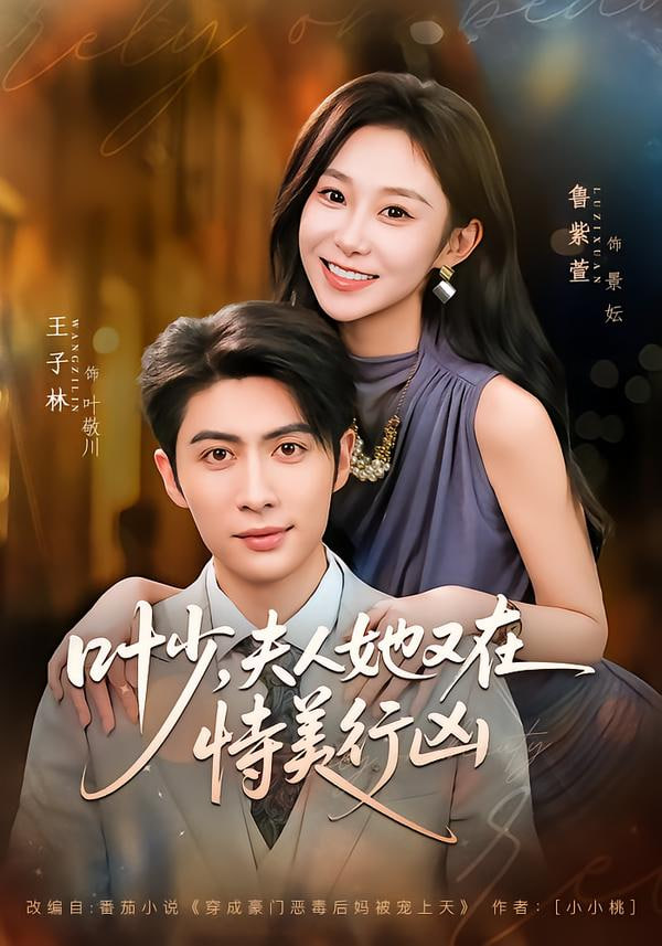 叶少，夫人她又在恃美行凶封面