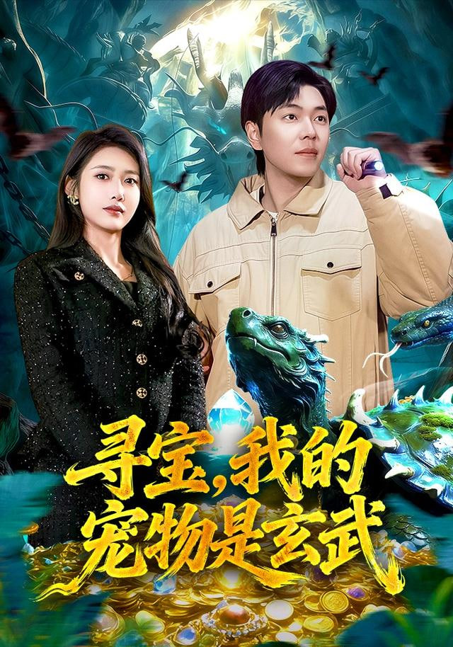 寻宝，我的宠物是玄武封面