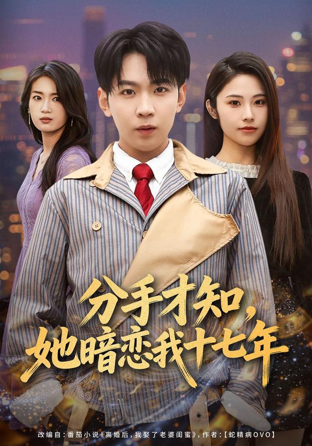 分手才知，她暗恋我十七年封面
