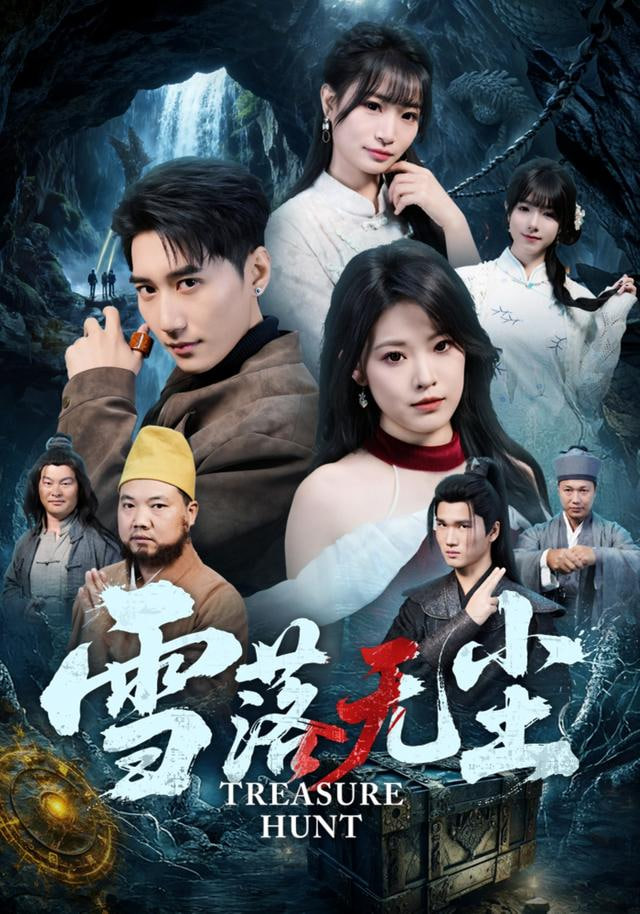雪落无尘封面