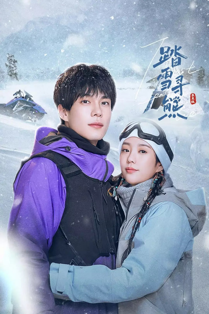 踏雪寻熊封面