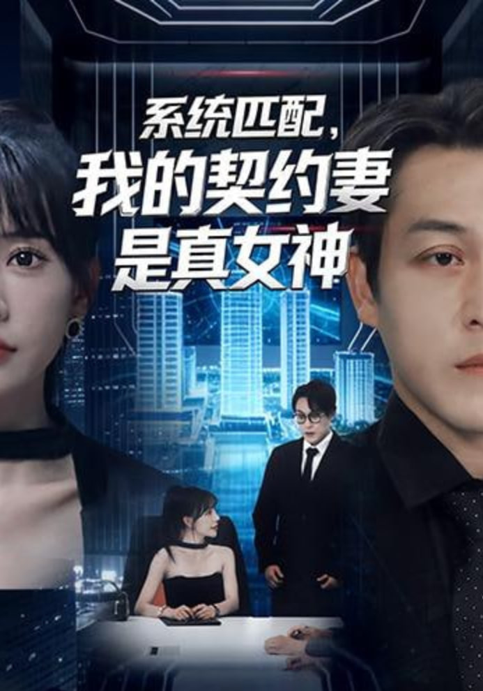 系统匹配，我的契约妻是真女神封面