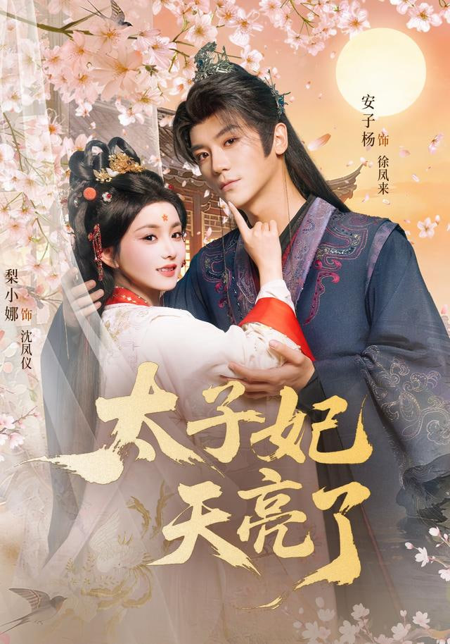 太子妃天亮了封面