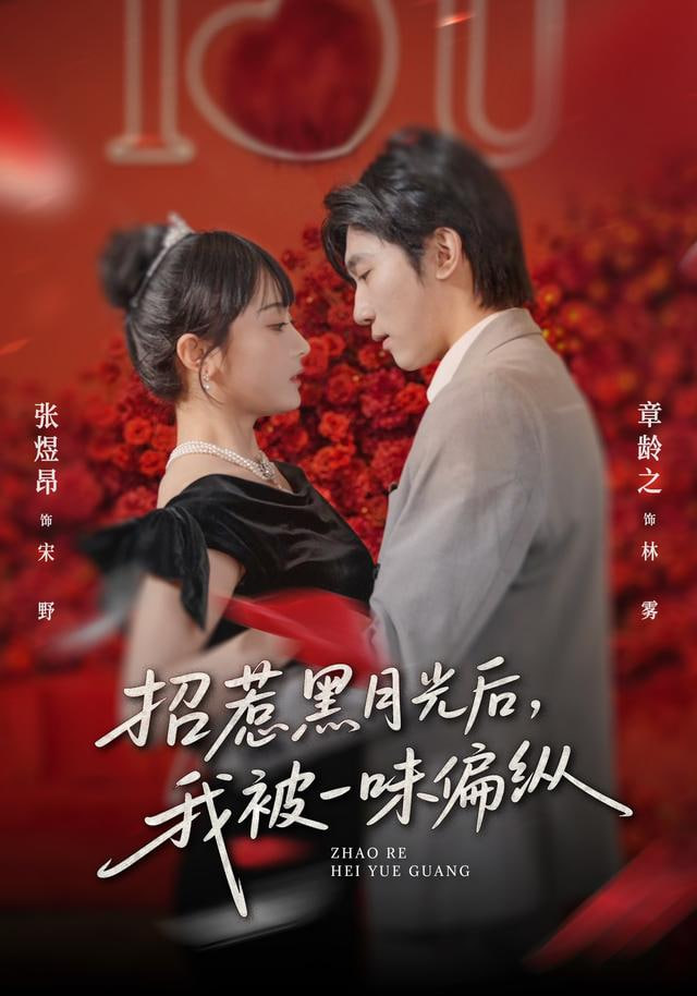 招惹黑月光后，我被一味偏纵封面