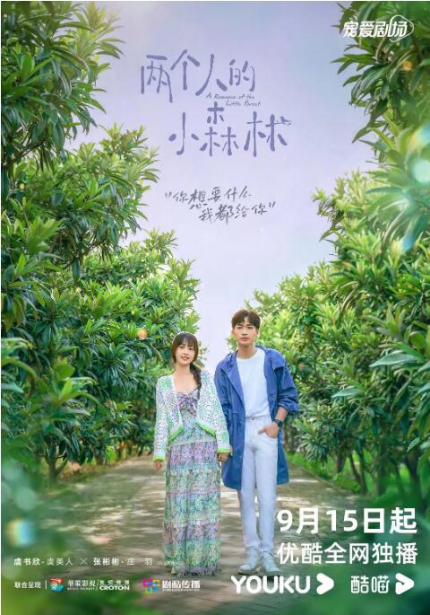 两个人的小森林封面