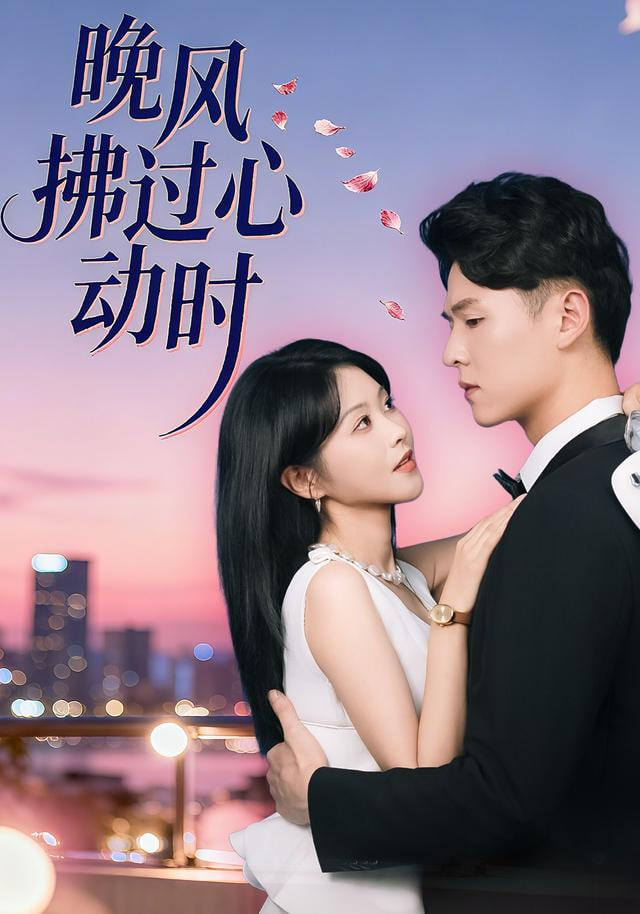 晚风拂过心动时封面