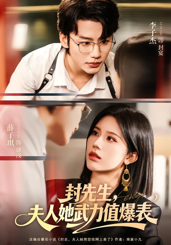 封先生，夫人她武力值爆表封面