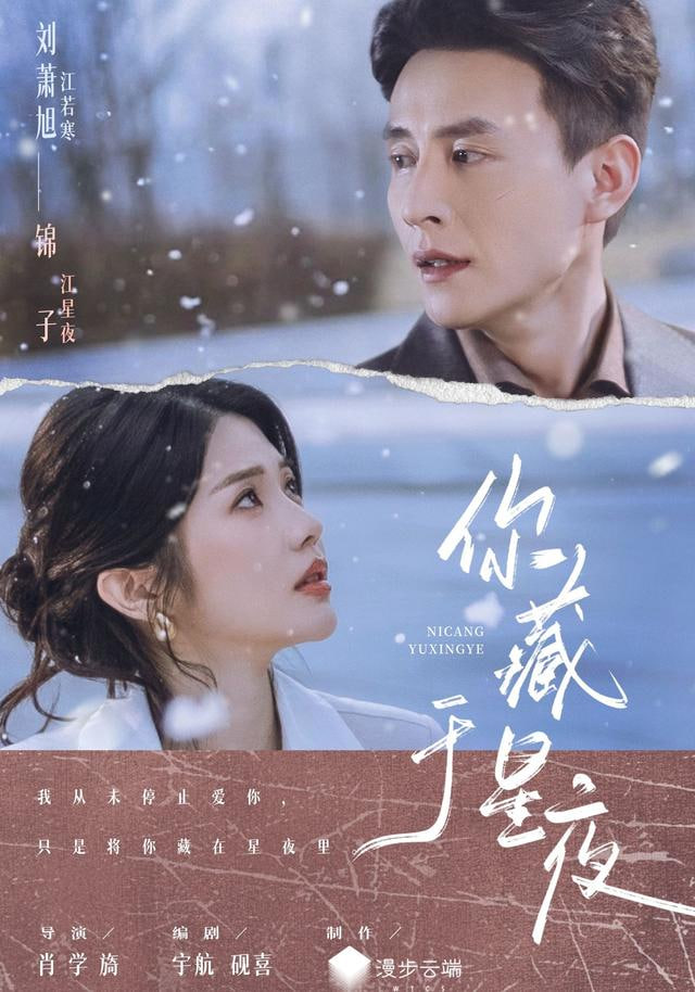 你藏于星夜封面