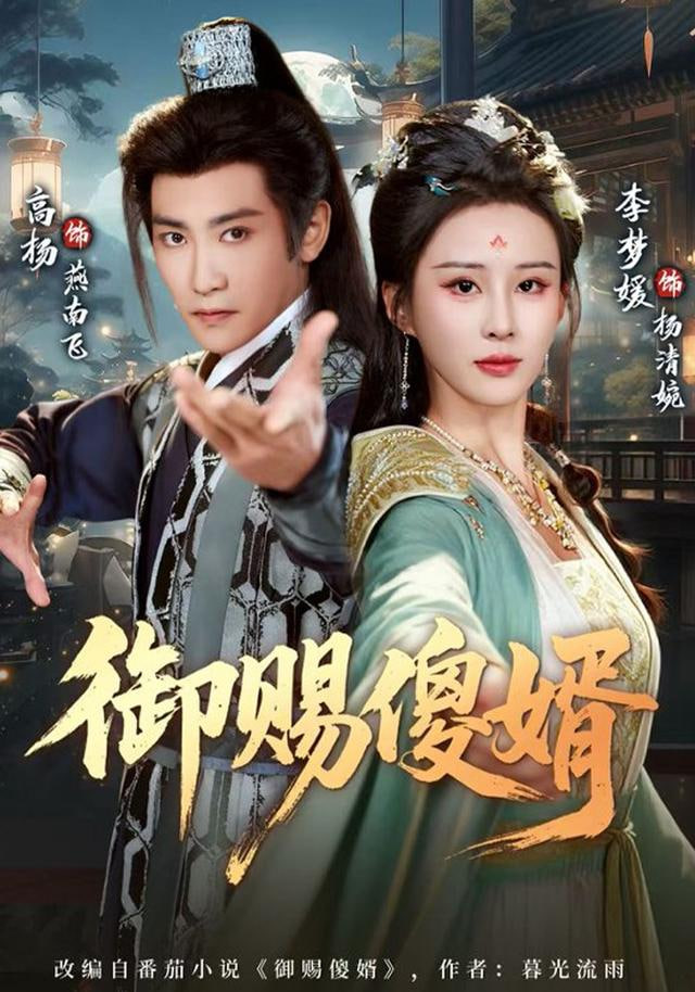 御赐S婿封面
