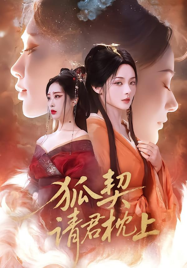 狐契：请君枕上封面