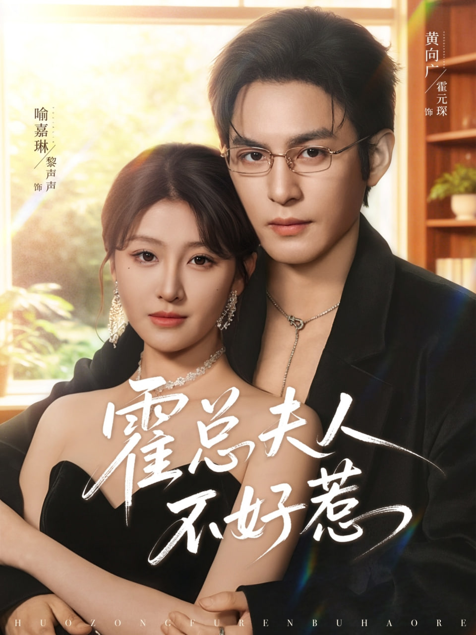 霍总夫人不好惹封面