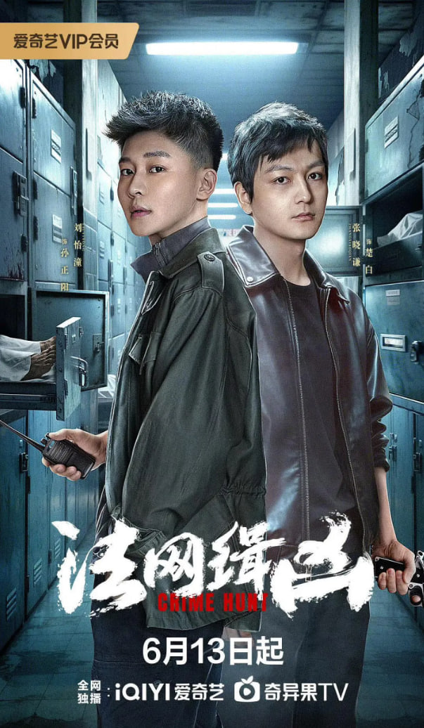 法网缉凶封面