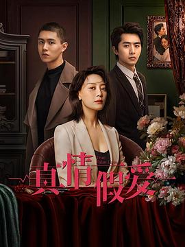 真情假爱封面