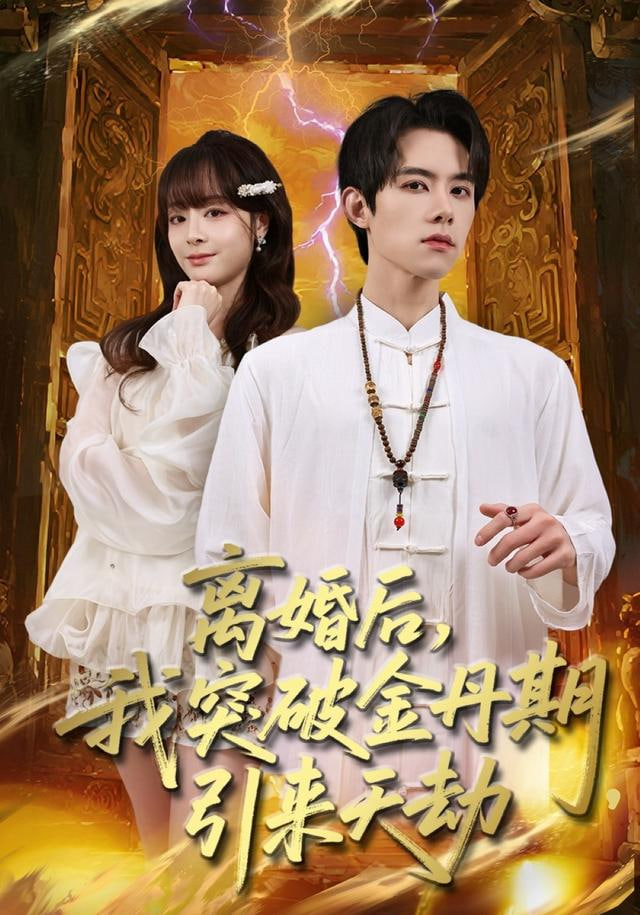 离婚后，我突破金丹期，引来天劫封面