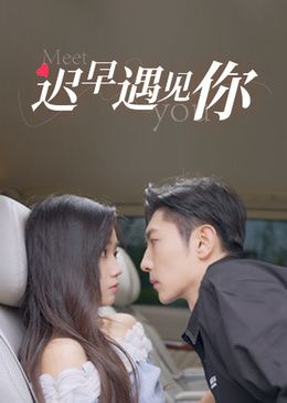 迟早遇见你封面