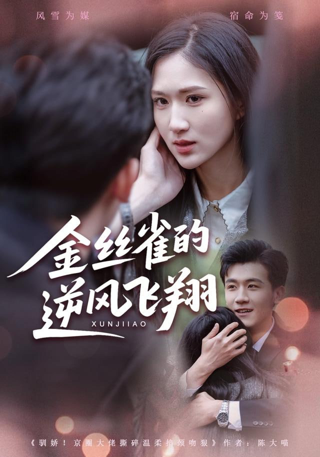 金丝雀的逆风飞翔封面