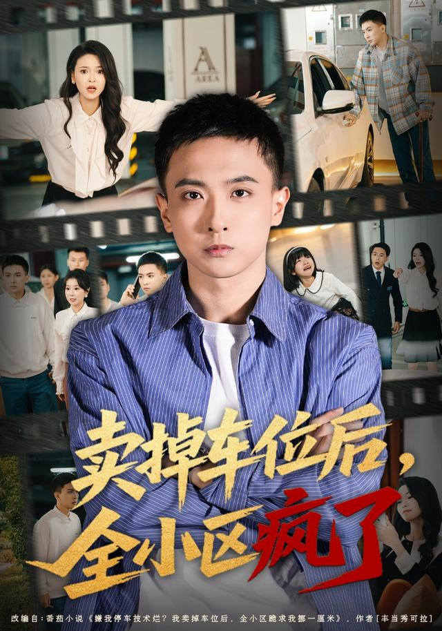 卖掉车位后，全小区疯了封面