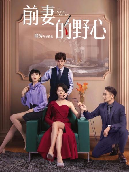 前妻的野心封面