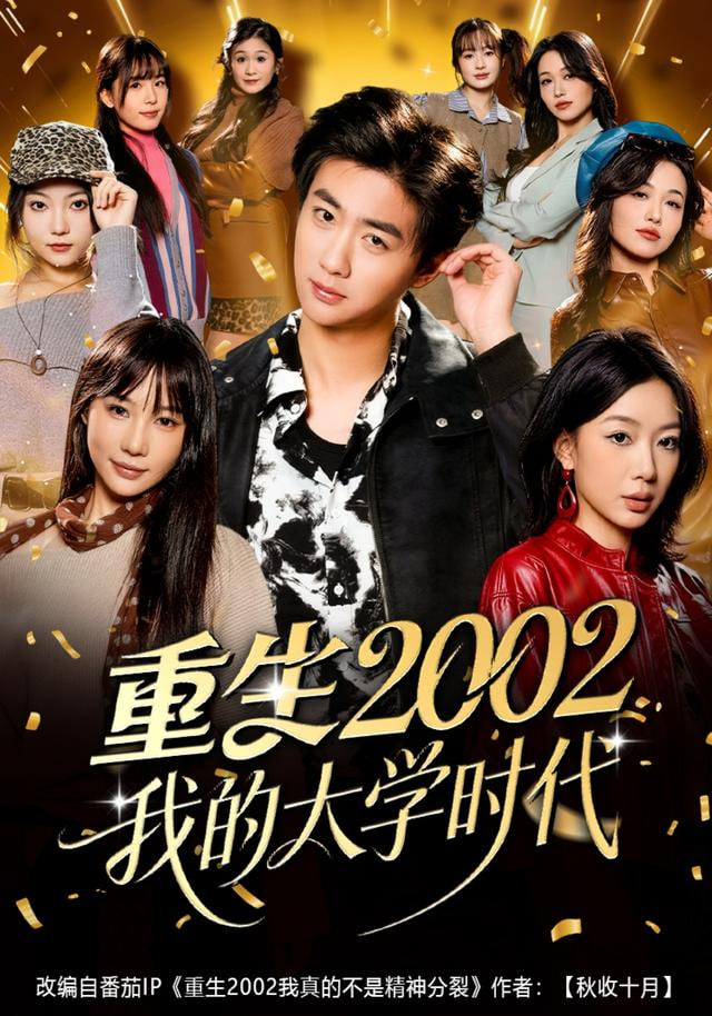 重生2002我的大学时代封面