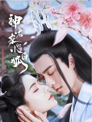 神君家的小白狐封面